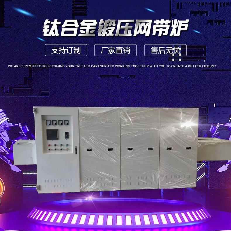 供应钛合金热锻压网带炉无氧化锻造预热炉退火炉耐高温工业炉