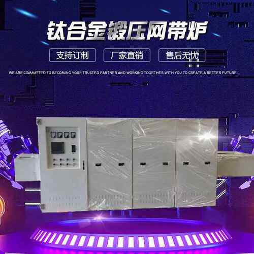 供应钛合金热锻压网带炉无氧化锻造预热炉退火炉耐高温工业炉