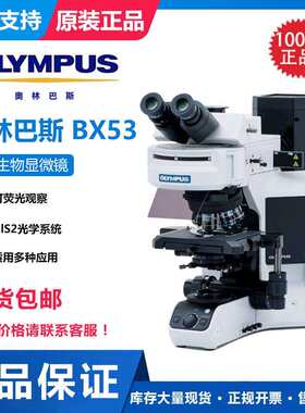 显微镜BX53临床研究级生物显微镜相差