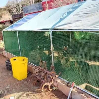鸡棚鸡舍搭建农村养鸡鹏遮雨布蓬移动庭院围栏户外专用家殖散笼