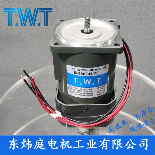 TWT电机 60W三相电机5IK60GN-YF 5IK60GN-SF 台湾东炜庭电机