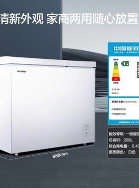 Ronshen/容声 BCD-208MS/A升家商用大容量冷藏保鲜双温卧式冷冰柜