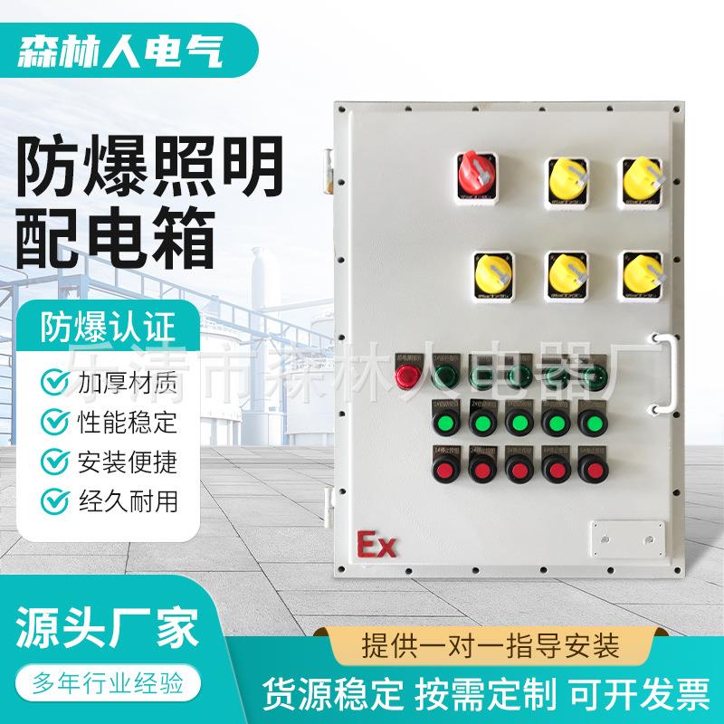 防爆照明配电箱控制箱照明动力箱检修电源插座箱开关仪表柜不锈钢