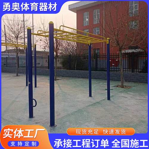 厂家供应云梯学校体育场双格肋木标准体操肋木架体育器材户外