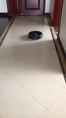 对比说说irobot扫地机器人和科沃斯哪个好？