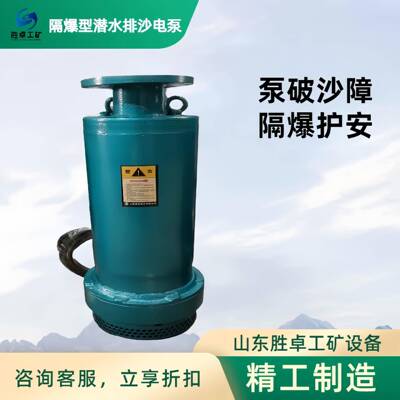 矿用隔爆型潜水排沙泵电泵 BQS潜水排沙泵防爆煤安认证