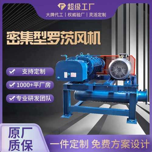 密集型罗茨鼓风机定制 高压风机 气力输送 污水处理