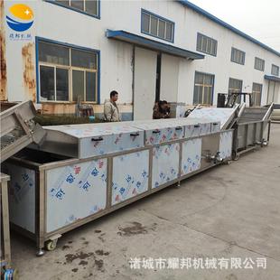 桑3000芽菜漂加工水线设备 青花菜煮过凉机 艾草洗烫水冷却流预机