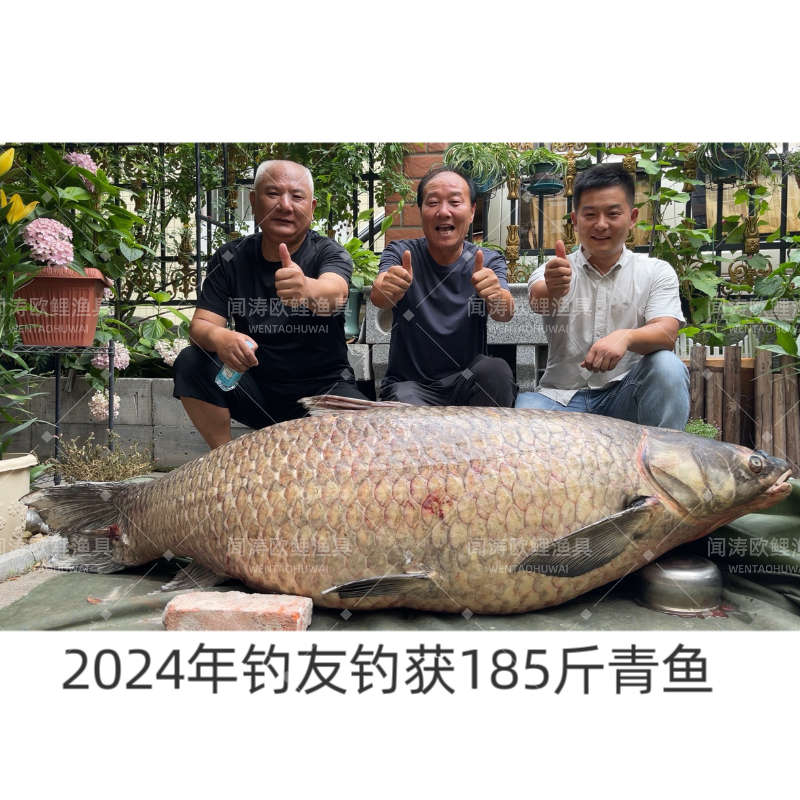 同款珠珠50枚一瓶反底钓鱼浮珠有味型珠珠反底钓欧鲤远投海竿综合