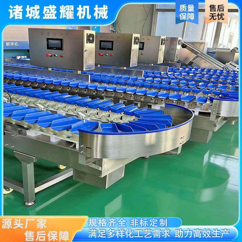 禽肉类重量分级设备 鸭掌称重分选机 一拖二鸡爪重量分选机盛耀