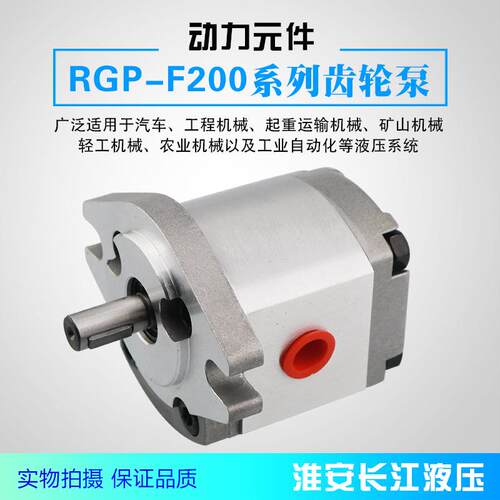 RGP-F200系列齿轮泵高效液压齿轮油泵长期供应液压齿轮泵长江液压