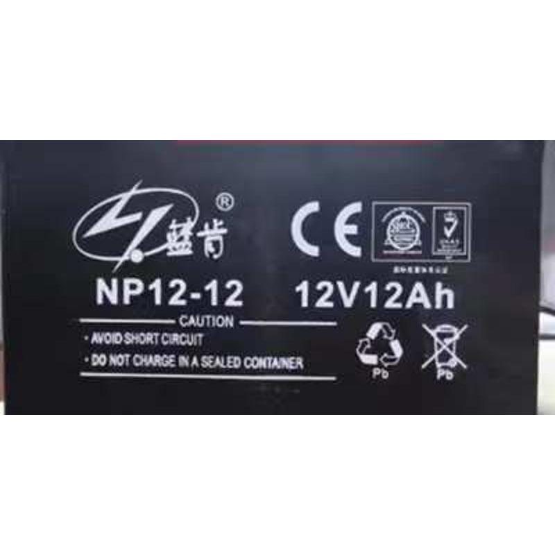 蓝肯蓄电池NP38-12/12v7.2a12a17a24a38a65a100a120a150ah消防UPS