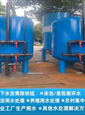 大型软化水处理设备井水净水器井水除铁锰黄泥水过滤器软化水装置