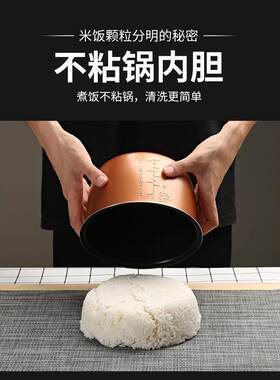 车载电饭煲12V24伏车用电饭锅高压锅迷你煮饭野炊车家两用智能煲