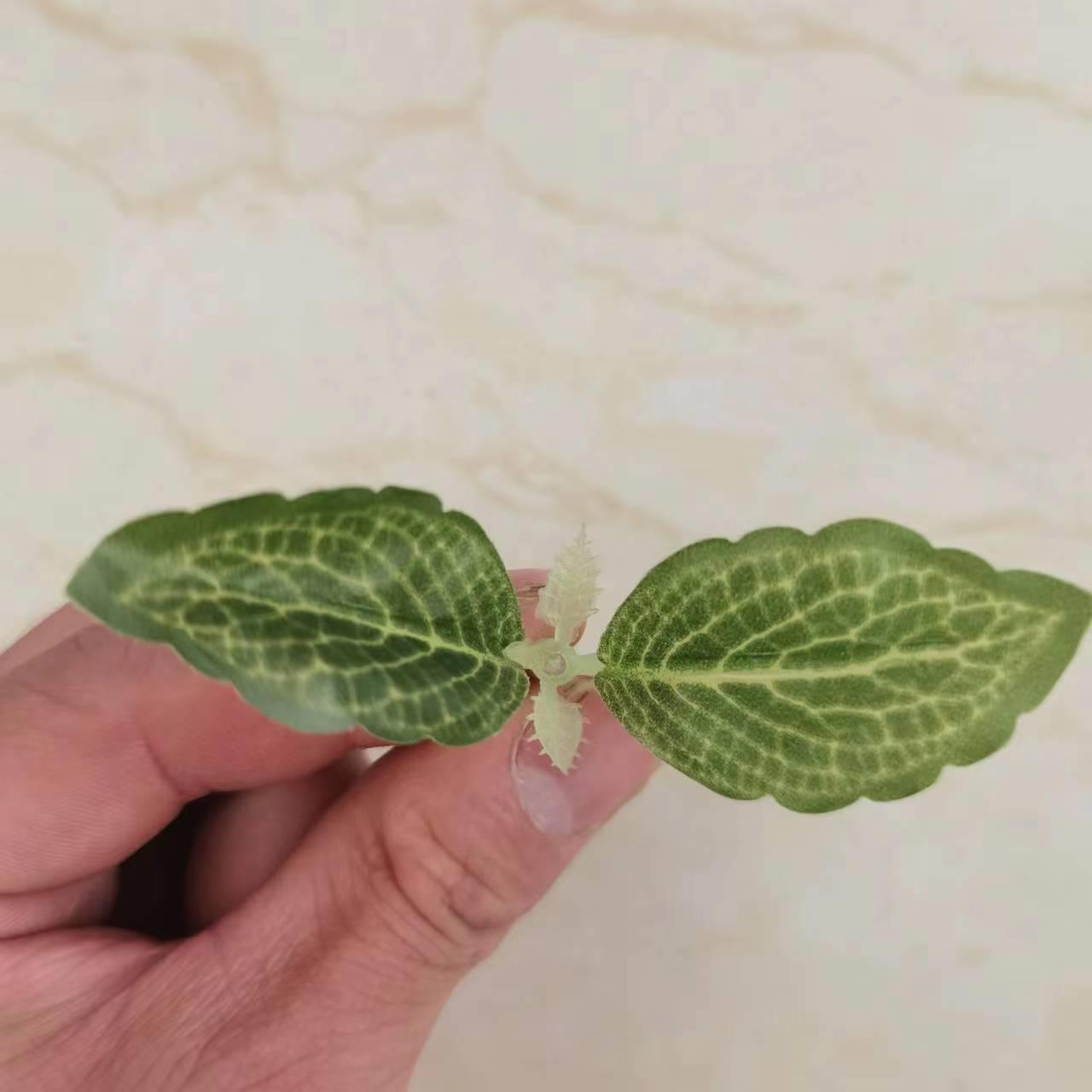 仿真叶子绿植配件材料 8厘米两叉迷你树叶 仿真树丝网花绢花叶子