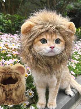 Cat Costume Cute Lion Mane Cat Wig Hat Cosplay Clothes Cap D
