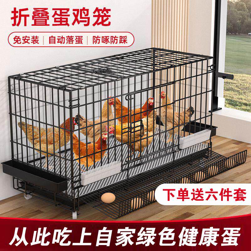 阳台下蛋鸡笼子鸡舍鸡窝自动清粪大号加粗加固折叠滚蛋笼养殖笼