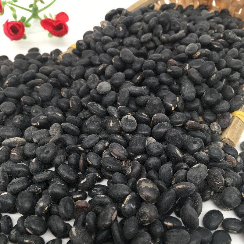 广东台山冲蒌黑豆黄芯带灰牛脚迹十月乌豆500g新收成自晒农家干货
