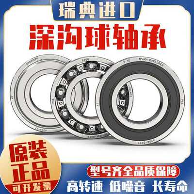丹洋高速瑞典进口轴承6307 6308 6309 6310 6311 6312 6313 2Z/C3
