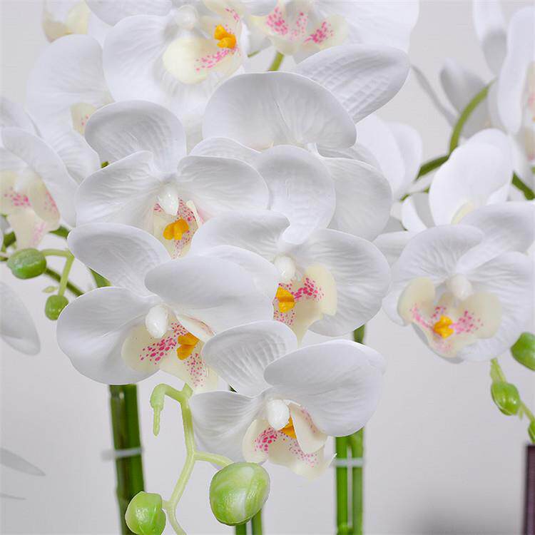 工厂货真花蝴蝶兰套装仿真花盆栽假花装饰花客厅胶片摆设花艺