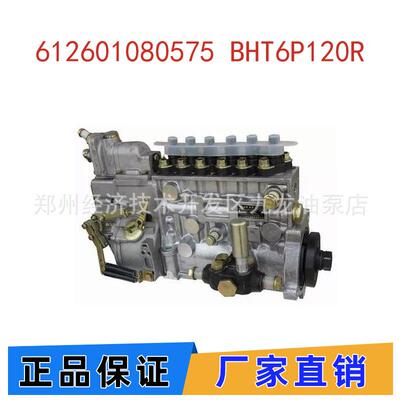 潍柴WD615柴油发动机高压喷油泵612601080575BHT6P120R燃油泵