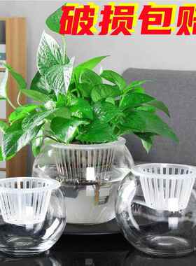 玻璃花瓶透明水培风信子绿萝花盆客厅室内鱼缸圆形水养植物器皿