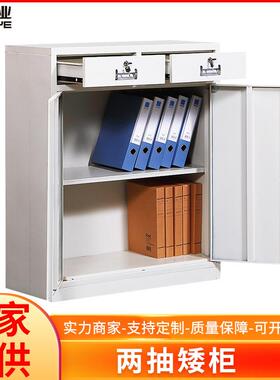 双门两抽矮柜钢制资料文件柜 办公铁皮柜档案白色文件柜厂家