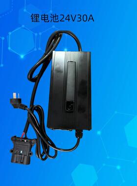 叉车充电器扫地机充电器观光车充电器电动叉车充电器12V24V48V60V