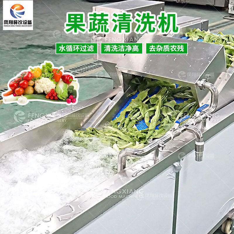 工厂直销果蔬气泡清洗机多功能洗菜机去农残去虫卵清洗设备