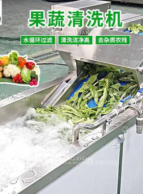 凤翔 工厂直销果蔬气泡清洗机多功能洗菜机去农残去虫卵清洗设备