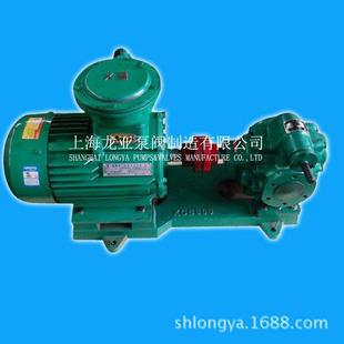 内齿合高压齿轮油泵 卧式 上海供应2CY7.5 25齿轮泵