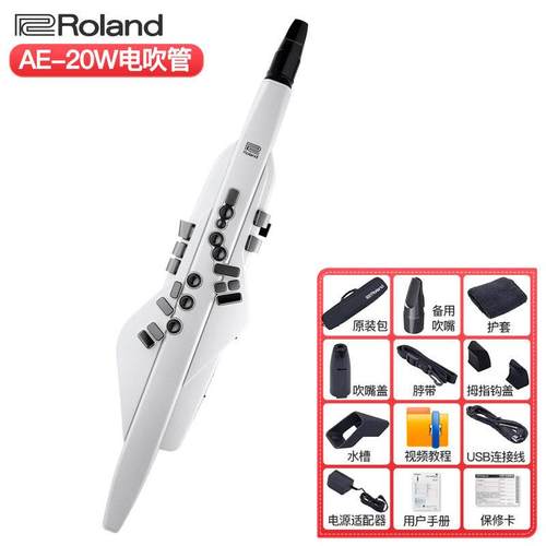 正品罗兰电动管Ae20专业电萨克吹斯管老年学者A05C初管乐器长笛e