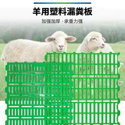 羊床漏粪板塑料羊养羊专用地板接粪漏缝板羊舍羔羊养殖羊用养殖板