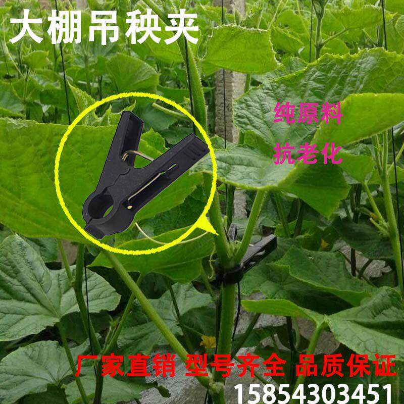吊秧夹大棚蔬菜黄瓜番茄吊秧夹子防老化熟料农用塑料绑蔓夹扶蔓夹