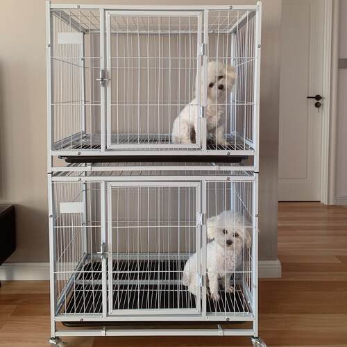 双层兔笼猫笼 适用泰迪柯基小型犬 上下双层寄养狗笼