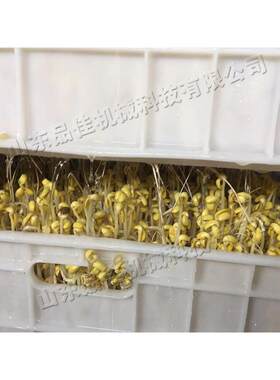 型全自动豆芽小机箱式芽黄豆苗菜培育设备MYO黄豆生豆芽苗设备
