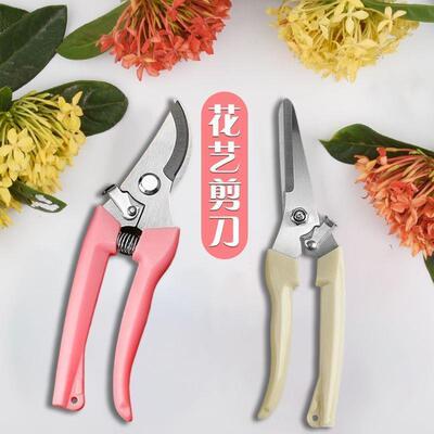 Gardening and landscaping de-thorning tool, floral scissors,