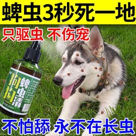 狗身上去蜱虫专用药宠物皮肤病，狗狗除蚤灭虱户外驱虫螨虫狗癣用