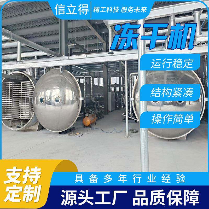 大型200平方真空冻干机水果干肉干低温干燥机花生芽真空冻干箱