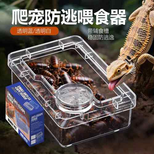 守宫食盆爬宠雨林缸吸盘悬挂式面包虫蟋蟀杜比亚防逃睫角蜥蜴喂碗