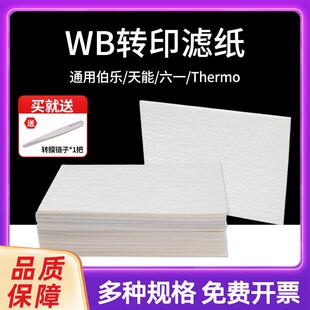 wb滤纸转印转膜湿转Western blot适用伯乐/天能/六一超厚转印滤纸