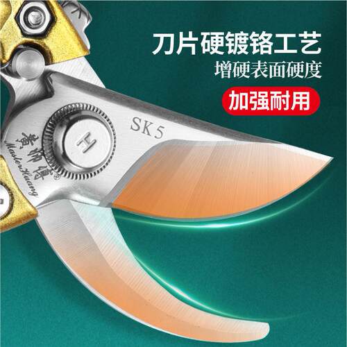 黄师傅SK5钢修枝剪园林园艺剪省力农用剪花枝果枝剪树枝专用剪子