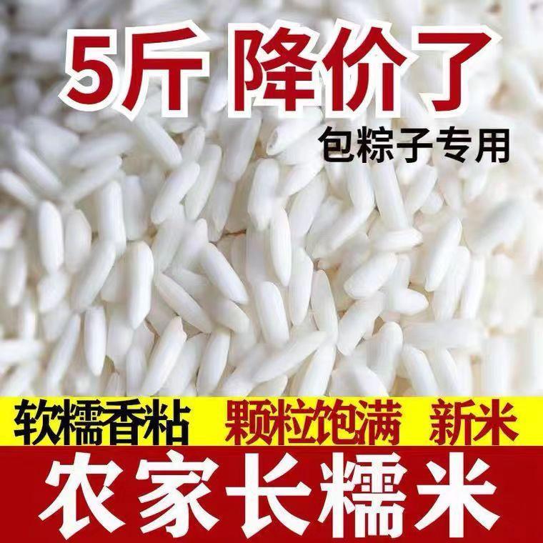 优质糯米新糯米纯糯米包粽子糯米酿酒糯米特价长粒圆粒江米