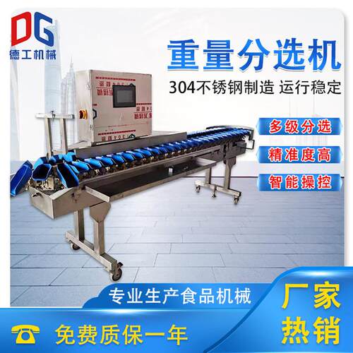 海参海蛎子扇贝分拣机牡蛎料盒重量分级机厂家自动称重分选机