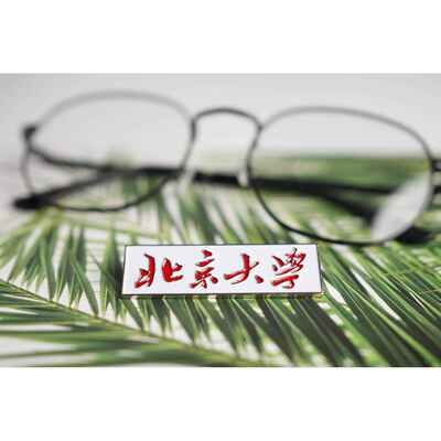 大学校徽 大学徽章 大学纪念品清华北大复旦交大厦大武大校徽徽章