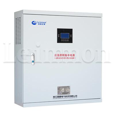 应急照明集中电源配电箱LM-D-1KVA DC36V 120分钟智能疏散指示