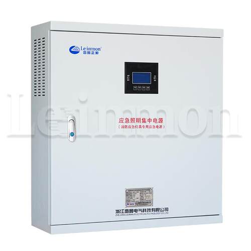 应急照明集中电源配电箱LM-D-1KVA DC24V 90min智能疏散指示