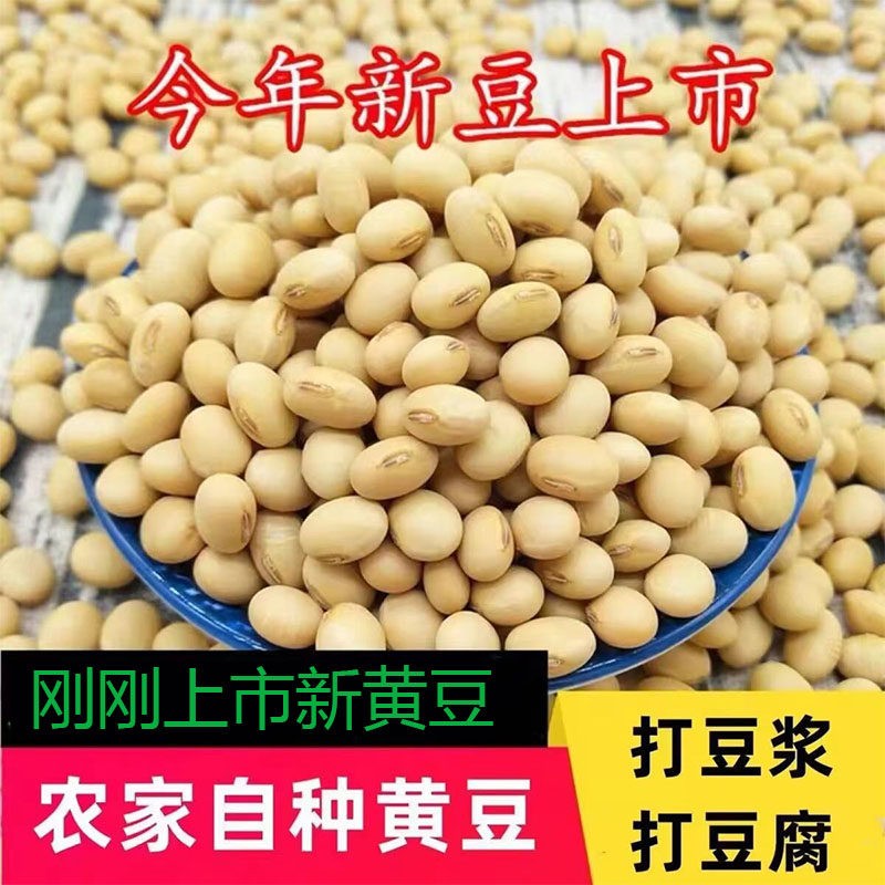 9斤贵州黄豆农家自产大豆五谷杂粮豆类磨豆浆生豆芽豆豉原料包邮