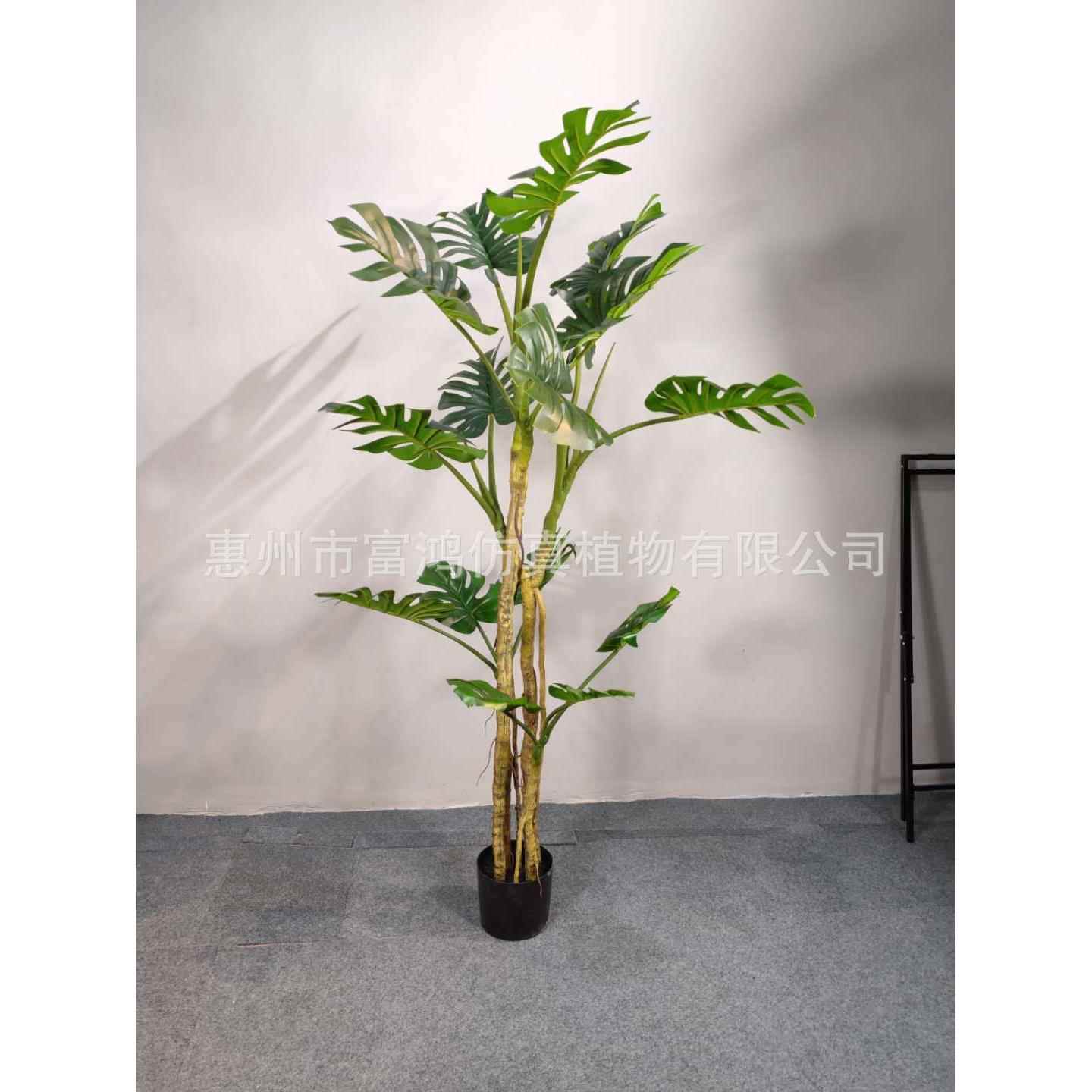 直销真龟背叶龟背竹办公室装饰绿植盆栽北欧风摆件龟背