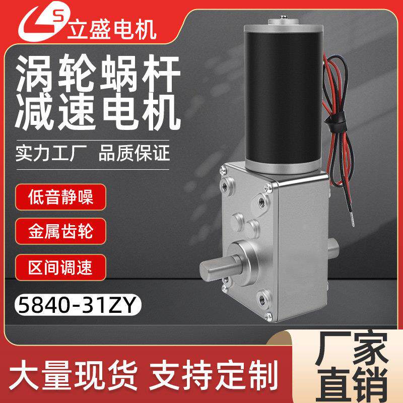 5840-31ZY双出轴直流减速电机微型涡轮蜗杆低速调速小马达12v24v